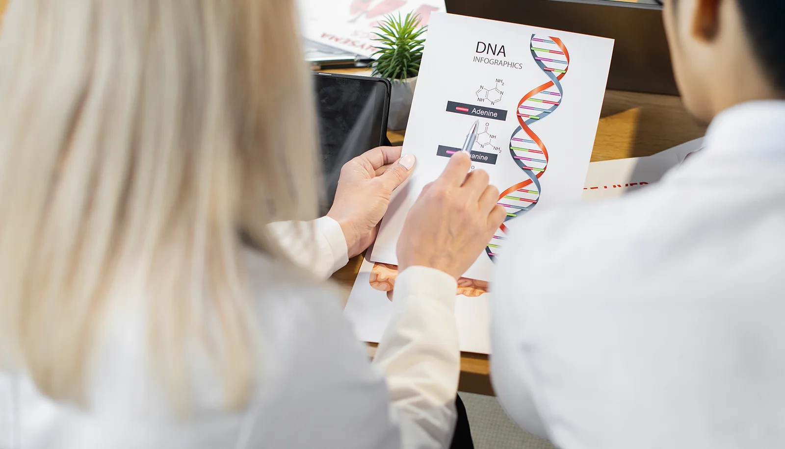 HPV Dna Tarama Testi Fiyatları